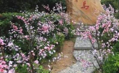 桃花源游记