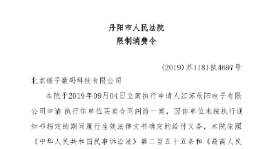 罗永浩被法院限制消费 不得选择飞机列车二等以上舱位