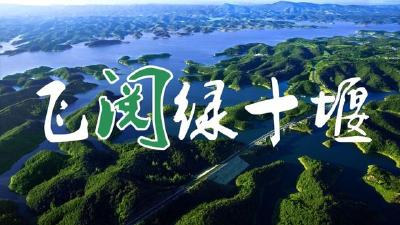 最长的338.6公里！你知道十堰有多少条河流吗？