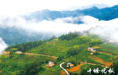 竹溪由“两难” 向“双赢”跨越  “十安”高铁将落子竹溪 