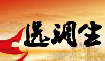 2020年湖北选调生考试招录800人，12月20日开始报名