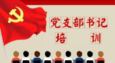 主题教育|市直机关主题教育基层党支部书记培训学习体会摘编