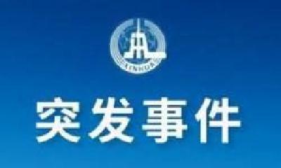 乌克兰一架客机在伊朗坠毁！机上人员全部遇难