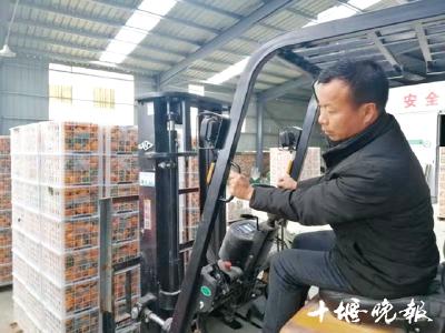 丹江口农民工返乡卖柑橘，将本地柑橘销往80余个国家
