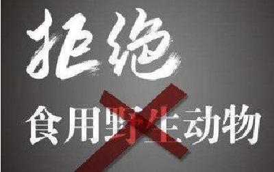 湖北将成立专班对市场存量野生动物肉制品、活体“摸底追源”
