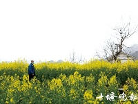 
抗疫最美瞬间