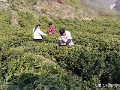 脱贫攻坚 | 房县：咱们的扶贫车间开工啦！