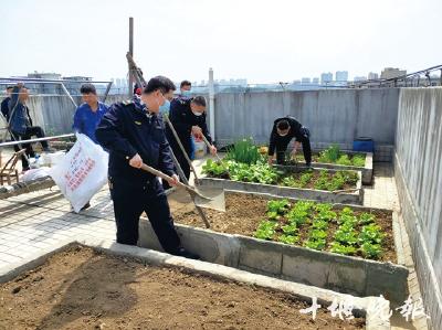 居民楼顶成菜园 社区联合城管清理干净了