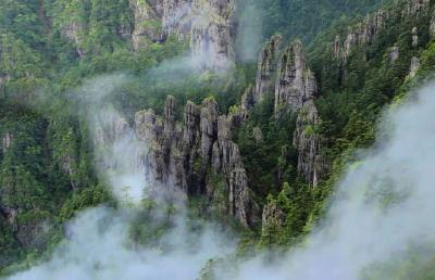 神农架首次推出旅游年卡 无限次畅游七大景区