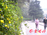 十堰“小江南”：烟雨空蒙吟春色