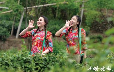 最美人间四月天，赏花采茶正当时，这份路线图请收好！