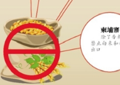 多国禁止粮食出口 危机来了? 专家:中国主粮充足