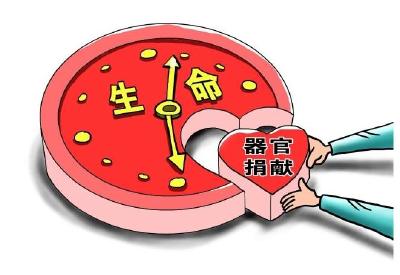 7年来，十堰142人捐献器官救了370名患者