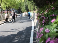 五一假期首日，市民公园赏花踏青