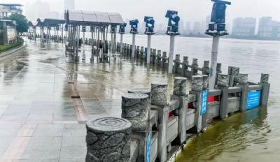 刚刚，武汉关到达警戒水位！湖北省再发暴雨红色预警