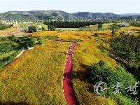 汉江生态旅游联体公园建成 十堰又多了一个游玩好去处