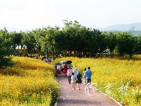 汉江生态旅游联体公园建成 十堰又多了一个游玩好去处