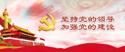 新时代党的政治建设的根本遵循——学习贯彻习近平总书记关于加强党的政治建设的重要论述