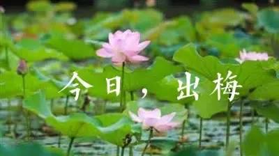 湖北长达43天的梅雨天气结束 未来一段时间为酷热高温天气