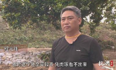 湖北一巡堤人员3天发现3处管涌，获奖1万元