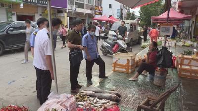 武当山特区开展市场监管专项行动 打击非法捕捞销售