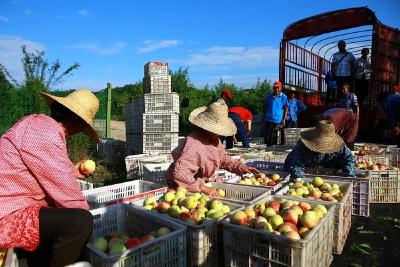 喜讯！丹江口又一个“全国巾帼脱贫示范基地”来了