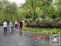 免费开放首日！十堰各大景区照片来了！