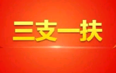 两部门部署2020年“三支一扶”计划 参加条件适当放宽