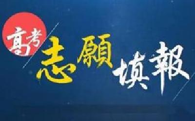 注意了！湖北省高职高专提前批开始征集志愿