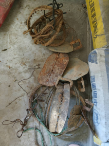 顶风作案！男子捕食野生动物 还没吃到嘴，警察就来了