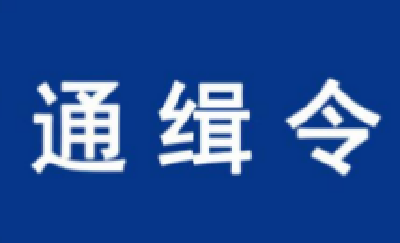 A级通缉令！见到这10人，请速报警