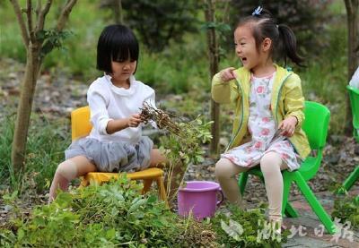 现实版开心农场！竹山一幼儿园设开心农场