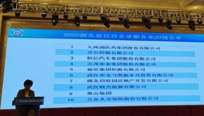 2020湖北省民营企业100强名单！入围门槛29.17亿元