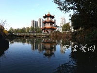 久违了！市民纷纷出户享受秋日暖阳