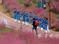 十堰这片粉色打卡地，美到让人窒息