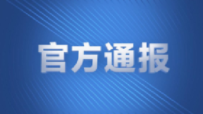 印度赴武汉航班检出大量新冠病例，外交部：中印正就后续临时航班安排保持沟通 