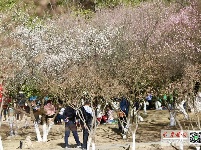 气温升升升！大批市民提前出门“春游”