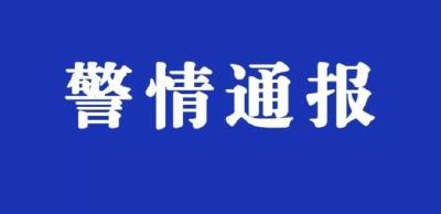 四川一高校教师在网络发表不当言论 已停职接受调查