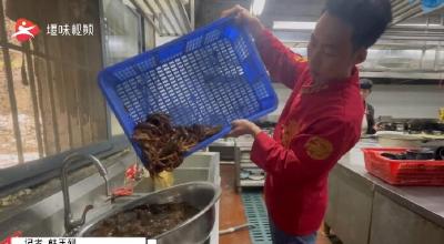 视频|吃货看过来！十堰小龙虾已悄然上市，价格有点“烫嘴”