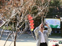 气温升升升！大批市民提前出门“春游”