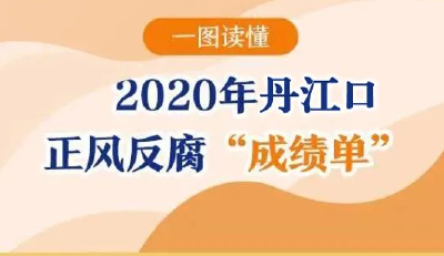 一图读懂 | 2020年丹江口正风反腐“成绩单”