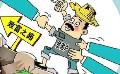 勤劳是最美的“致富花” 六里坪镇三位致富能人新愿景