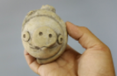 挖出“愤怒的小鸟”同款猪？三星堆的N种传说找到答案了吗？