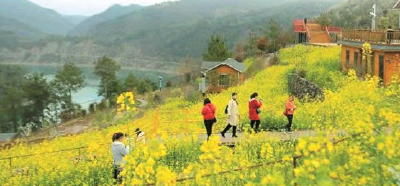 处处可见怒放的鲜花，十堰如画美景令人心旷神怡