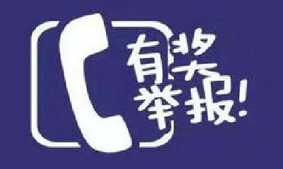 郧阳区发布通告 举报这些行为有奖励，最高奖10000元