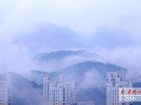 雨中车城十堰 如梦如幻似画卷