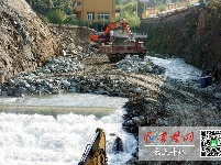 水清、河畅、岸绿……神定河变身景观河！