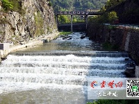 水清、河畅、岸绿……神定河变身景观河！