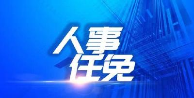 马泽江任宜昌市副市长、代理市长(图/简历)