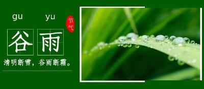 今日迎来谷雨节气：谷雨有雨，天气应景